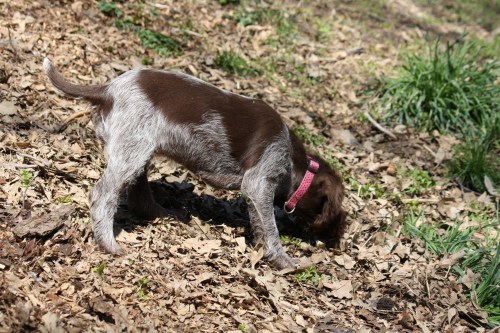 Edna will move across town on Friday