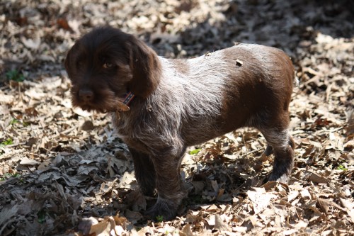 Eustace will catch a plane to Ohio on Monday