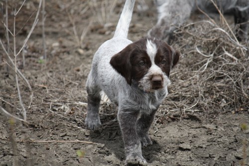 Francis pointing the kids in the water
