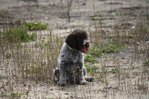 Flora having a seat in the flowers