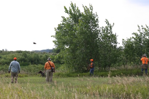 A bird in the air, Sam breaking on the shot