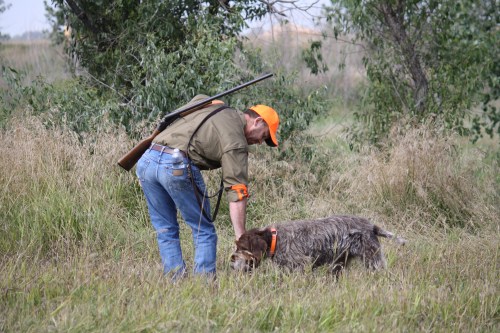 BB retrieves to hand