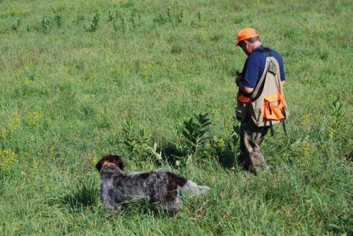 Another shot of Chester on point