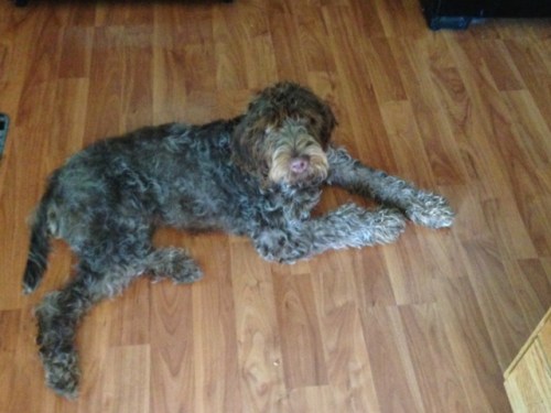 Ed hanging out in the house