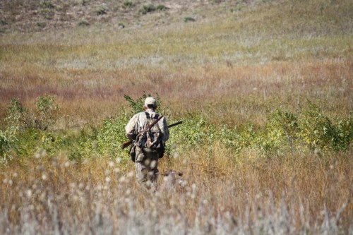 Charles and BB creep into a wet spot