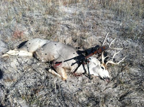 Charles's mule deer buck and rifle out on the prairie
