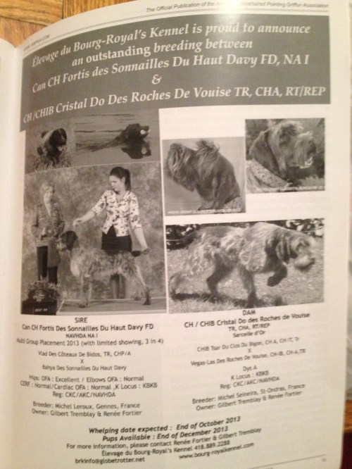 Announcement in the last Griffonnier with the parents' credentials