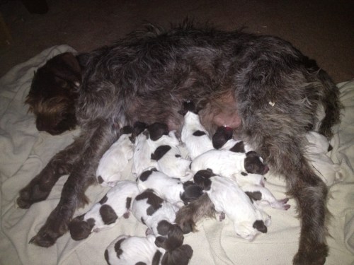 First night by the fire