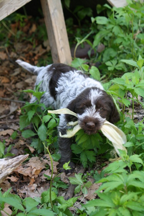 Hope is headed to Wyoming