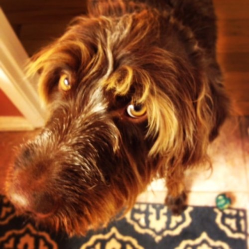 Maggie giving a look