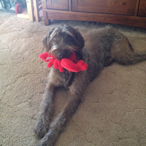 Fire with her lobsta:)