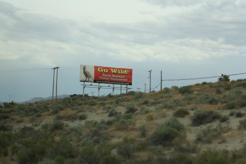 Billboard for the Battle Mountain Chukar Tournament