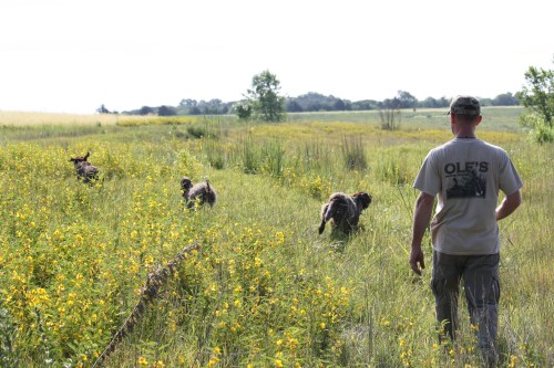 The three dogs and Charles.