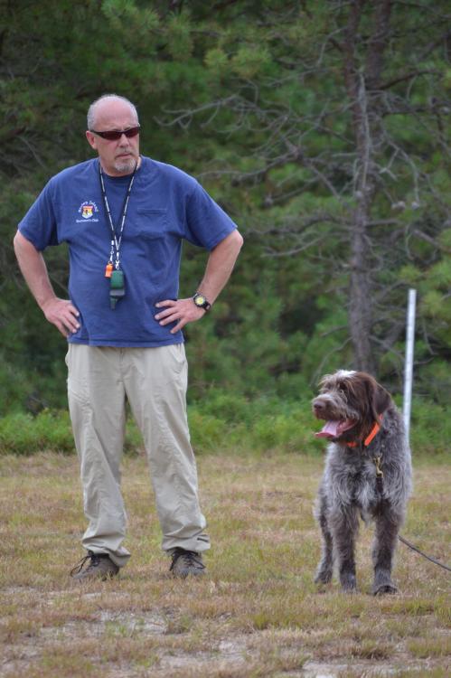 Sal and Chester up to serious training business.  Photo by Steve Anker.