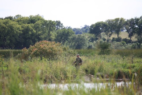 Charles and the dogs circling the pond.