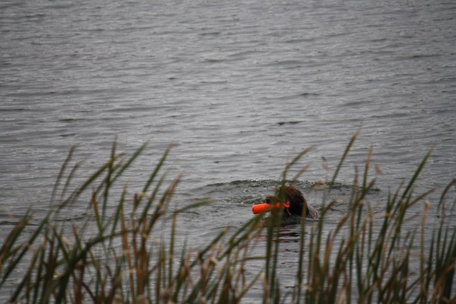 Fire bringing one back in