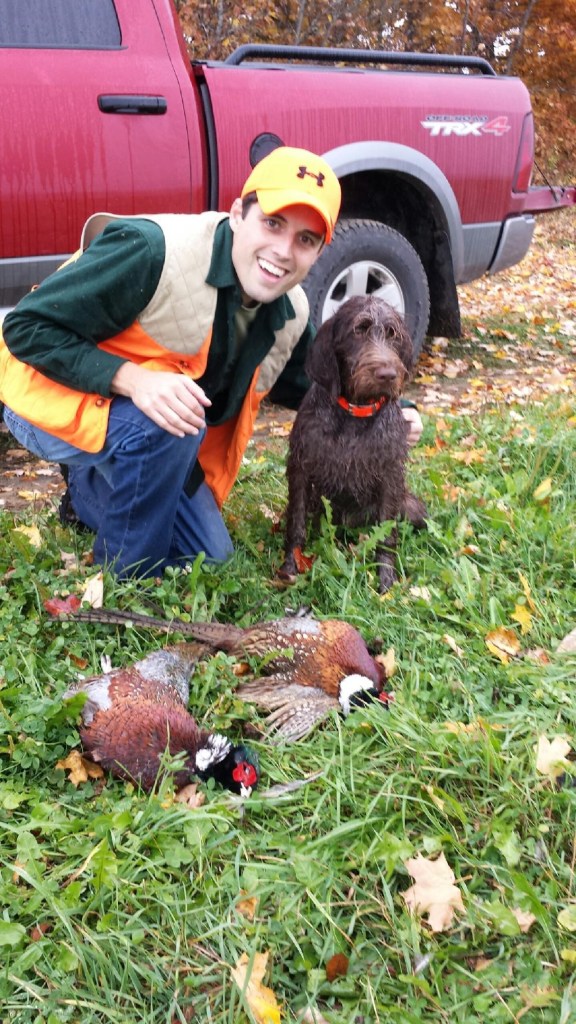 Moose and the elusive Maine roosters