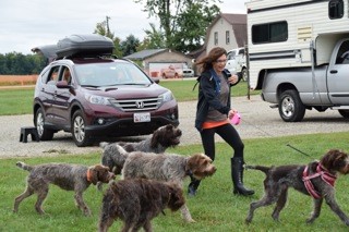 Sandi and Zoey overtaken by the gang of griffs