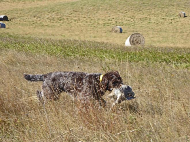 TracHer on retrieve in North Dakota