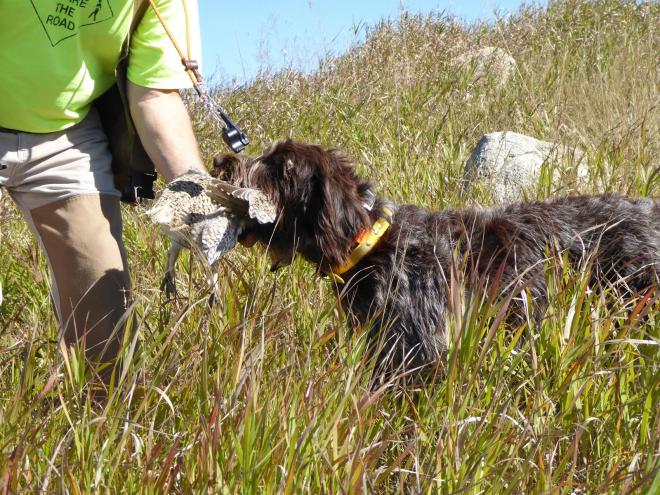 TracHer's retrieve to hand 