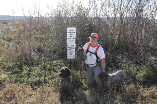 I love chocolate cake, but I love birthday roosters more.