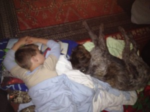 Caleb and Fire having a snooze