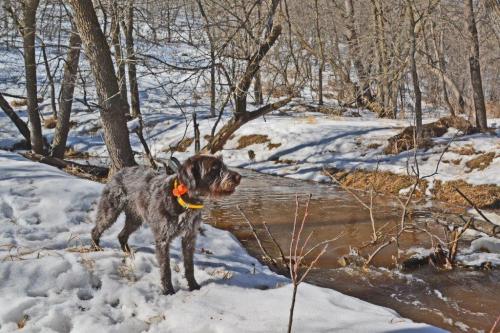 TracHer 3 years old by the creek
