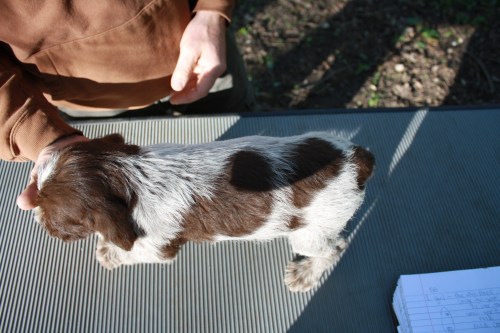 Jackie back (female)