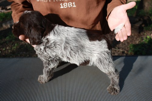 Jane profile (female)