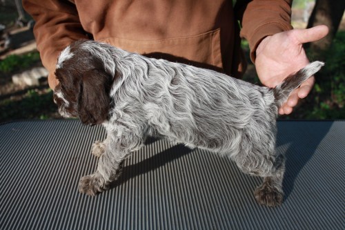 Jericho profile (female)