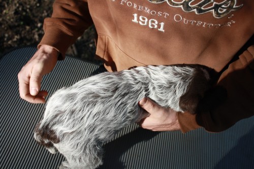 Jericho back (female)