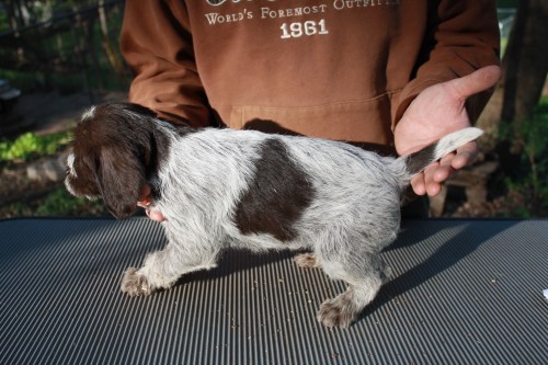 Jessica profile (female)