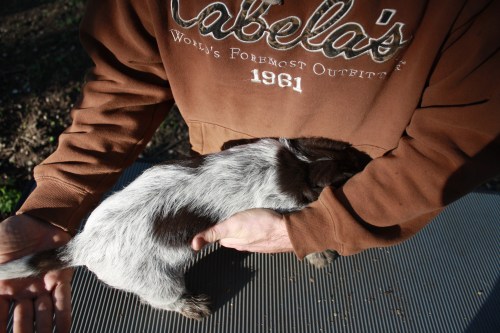 Jessica back (female)