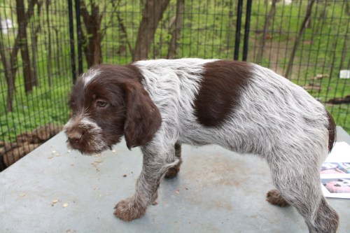 Jenna profile (female)