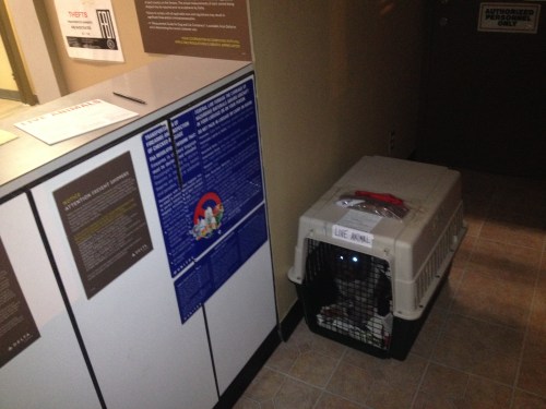 Ivan on his way to Minot via Minneapolis.