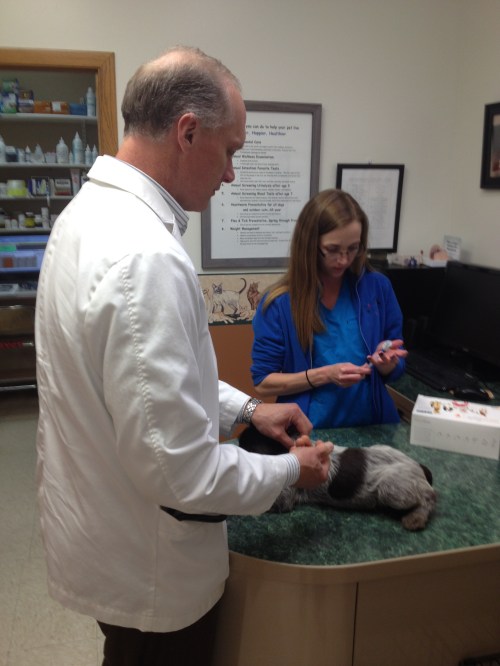 Dr. Andrew Kliewer DVM and Crystal the vet tech.