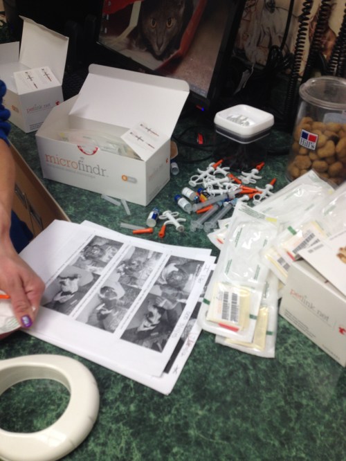 The vet tech's copy of the puppy photos and owners, with the mountain of microchip injectors.