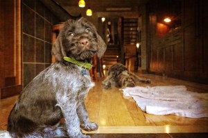 Remi and big bro Logan