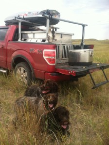 Day 2 limit, back to front: Sam, Fire, and Chief