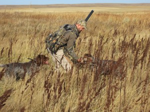Fire on retrieve of the second rooster