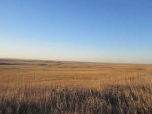 North Dakota Landscape