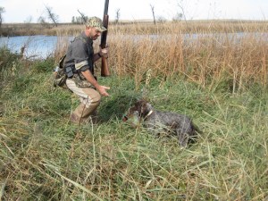 Fire brings back the rooster that tried to hide under the tree.