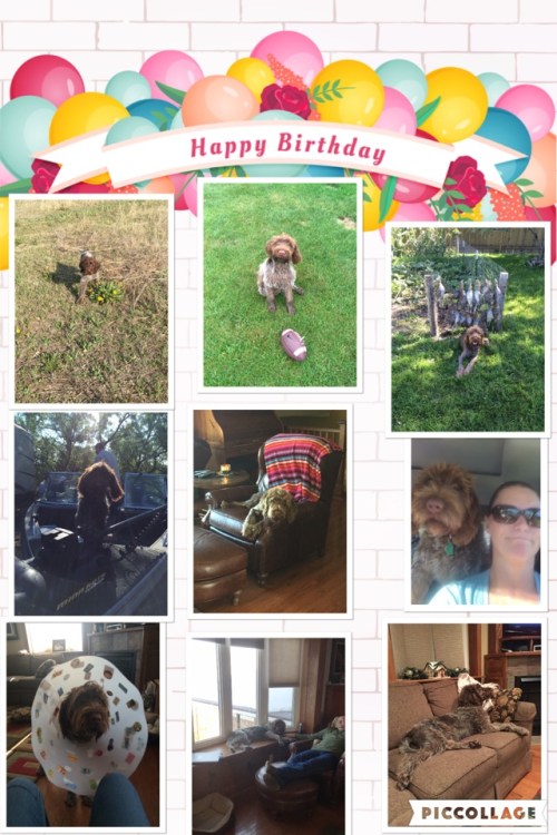 Cooper's first birthday