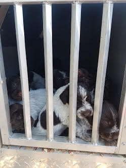 0de55604-c6ef-44bb-8db4-c5b3c6417c70