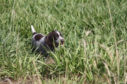 Early Exposure Physical - Charity Upchurch
