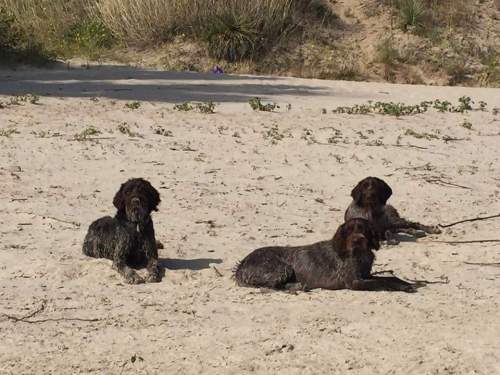 fb_img_1473114900589