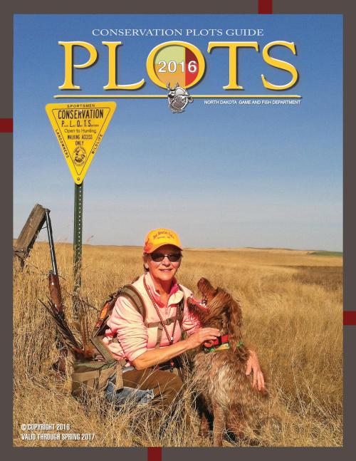 14125586_10153710503106254_4134705187831277529_o