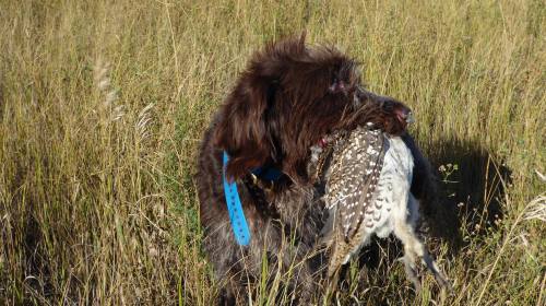 14352207_10154681340417384_7416535985368250042_o