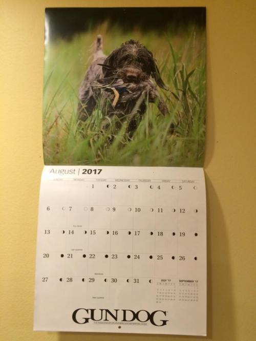 14370228_10206768463387133_6202074216438962314_n