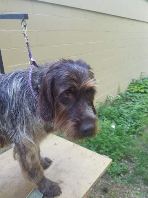 19420710_1587793777938218_7117426491240862704_n